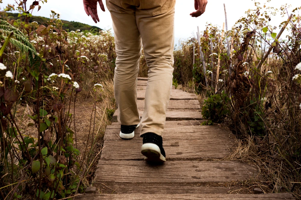 photo of a hiker on a wooden path